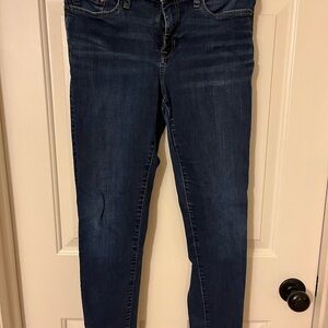 Banana Republic Dark Blue Skinny Jeans